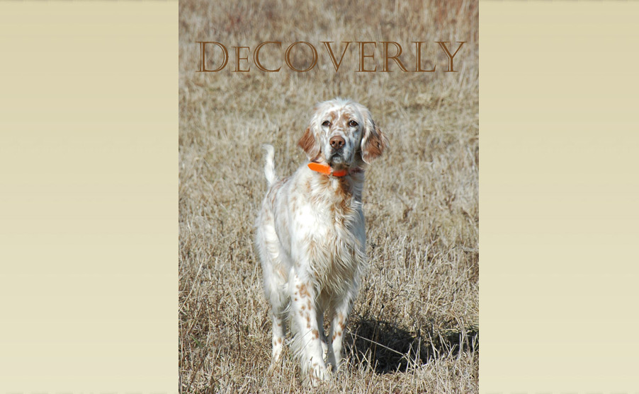 oswick english setters