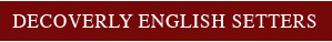 DeCoverly English Setters