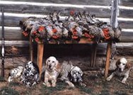 Turkey hunting dogs