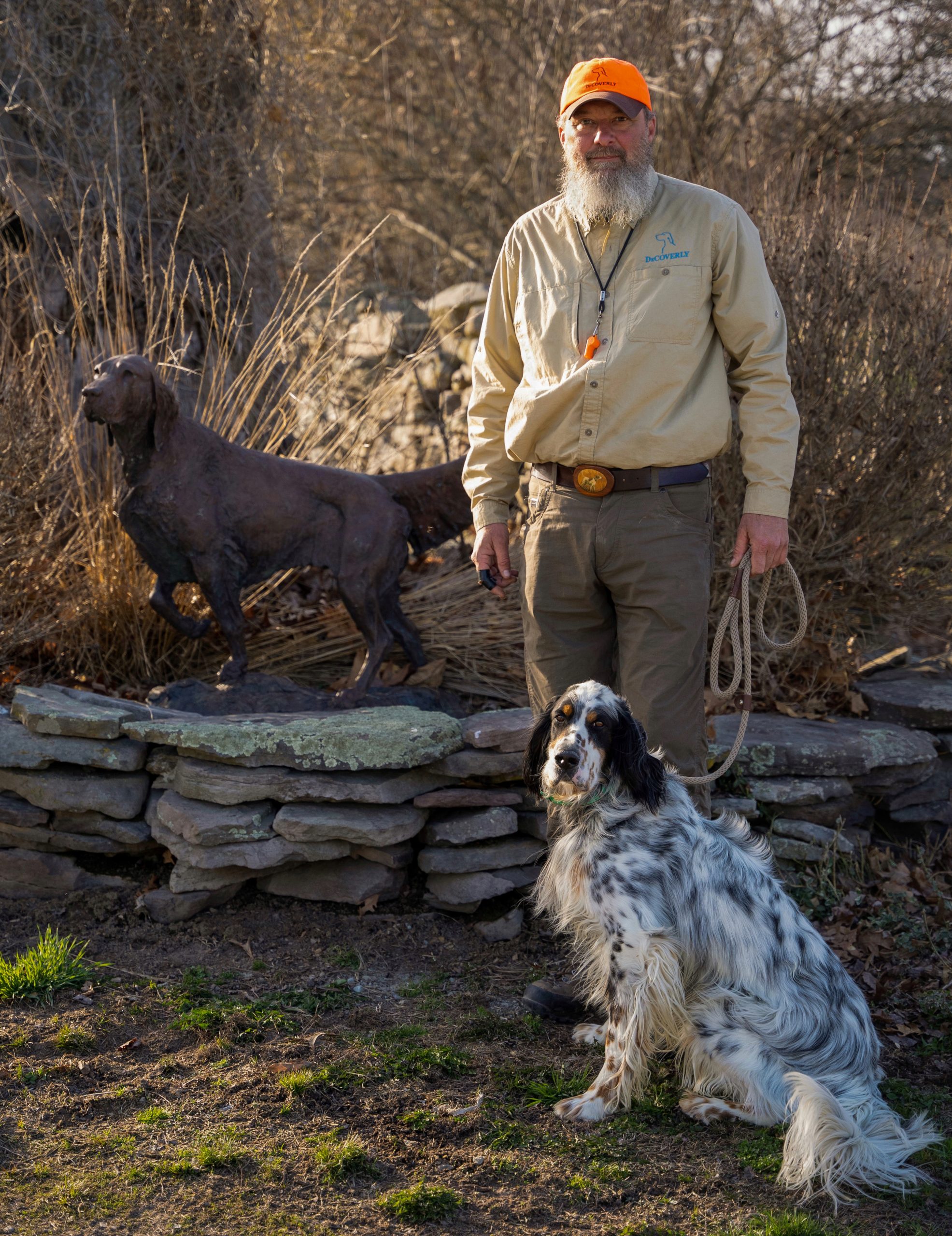 Decoverly store english setters